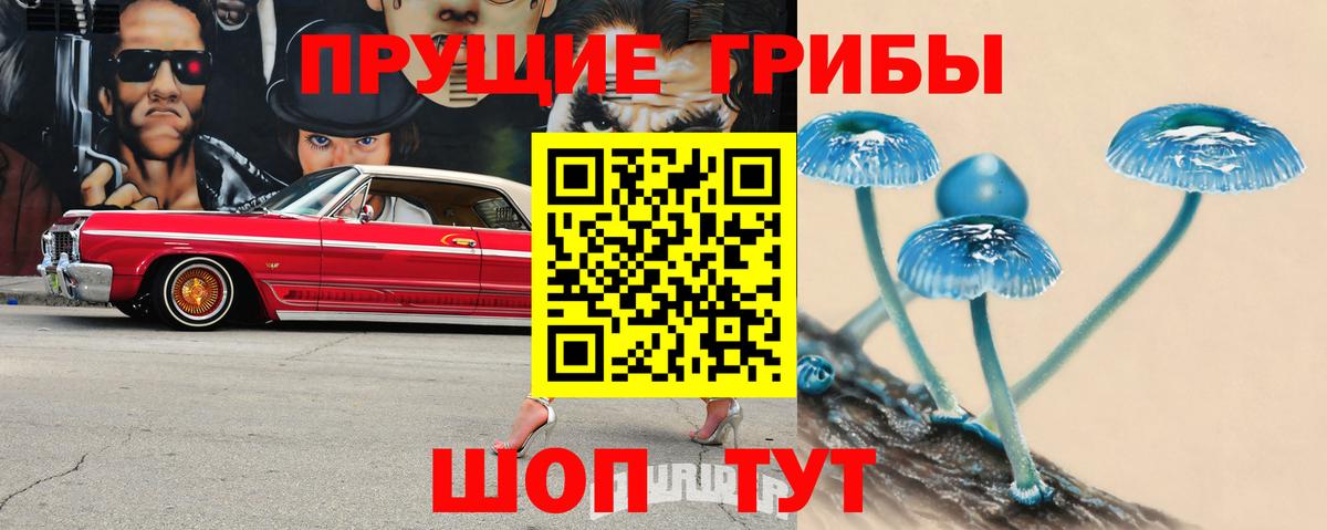 Галлюциногенные грибы Cubensis  Псилоцибиновые грибы Cubensis  Пыть-Ях  Вход с VPN 